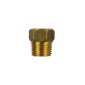 Tecnoseal 02351TP - Lombardini Brass Plug 1/4''Bspt