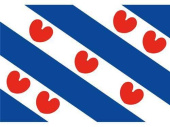 Frisian Flag 40 x 60 cm