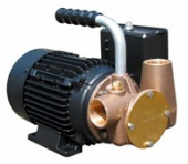 Jabsco 53041-2001-230 - Utility 40 1 in Self-Priming Flexible Impeller Pump