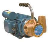 Jabsco 53040-2103 - Utility 40' 1" Self-Priming Flexible Impeller Pump 110 volt a.c.