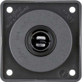 Berker Wall Socket 12/24V For Small Pin Plug