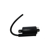 Kohler 359784 - Ignition Coil