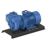 GMP Pump EAEM 11 KW 400/690 V Self-suction cast iron pump