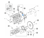 Vetus VFP01027 - Plug 25mm