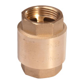 Non-return Valve With Spring 3/8"