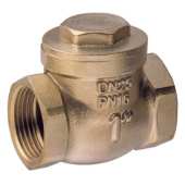 Guidi Swing Check Valve, Metal Tightness, Yellow Brass, BSPP