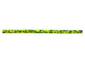 Talamex Allround Rope UHMWPE With Poyester Cover Green/Black 6mm 50m