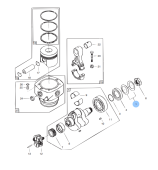 Vetus VF20023 - Cup Spring