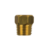 Tecnoseal 02070TP - Ford Brass Plug Th. 1/4'' bspt