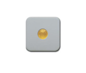 Inprojal Cover 1-Pole With Yellow Lens Single Rough/Grey