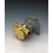 Johnson Pump 10-24139-4 - Bronze Impeller Pump F7B-903, Flange-Mounted, 1" BSP, 2/3, MC97