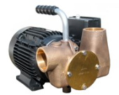 Jabsco 53081-2053-230 - Utility 80' 1½" Self-Priming Flexible Impeller Pump 230volt/1 phase/50Hz a.c. For Lube Oil