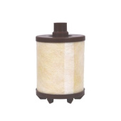 Kohler GM32404 - Emission Filter Element