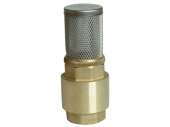 Non-Return Valve + Strainer 2"