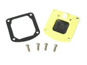 Whale AS3723 - Outlet Valve Plate Assembly Gusher 10
