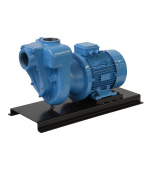 GMP Pump EAHA 7.5 KW 400/690 V Self-suction cast iron pump