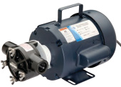 Jabsco 17430-0003 - Epoxy Utility Pump 1/2 HP
