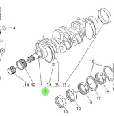 Nanni Diesel 970310859 - Crankshaft Assembly for 4.330TDI and 4.340TDI Engines