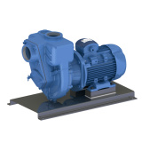 GMP Pump EAND 5.5 KW 400/690 V Waste Water Self Suction Pump