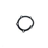 Whisper Power 50206241 - Gasket CoolingPpump Engine SQ16