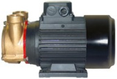 Jabsco PC25EM2T50V400 - Bronze Turbine Motor Pump Unit 400V/3/50HZ