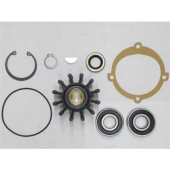 Sherwood 19354-SHW Major Repair Kit For P105 - P109 Pump