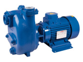Victor Pumps S80G31B/T + F pump 4 kW 400V