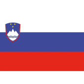 Bukh PRO N2112130 - SLOVENIA FLAG IN POLYESTER 20X30