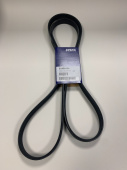 Volvo 21405494 - D4 D6 Alternator Drive Belt
