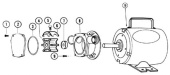 Jabsco 90061-0001 - Service Kit for 6360-1001 Pump