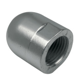 E. Polipodio RE001M20 Zinc Metric Thread Nut M20