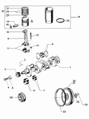 Vetus STM2197 - Set Main Bearings P4.21 for Crankshaft