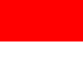 Allpa Solothurn Flag 20x30cm