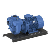 GMP Pump EADL 11 KW Waste Water Self Suction Pump 400/690 V