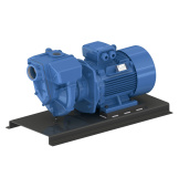 GMP Pump EANP 15 KW 400/690 Self-suction cast iron pump