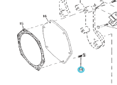 Northern Lights R112268 - SCREW