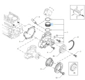 Vetus DZ37001 - Circulation Pump VD4/VD6