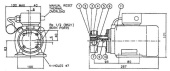 Jabsco 28141-2113 - Spare Part