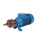 GMP Pump GEAR 600 B 0.37 KW Self-Priming bronze gear pump