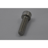 Alamarin-Jet R01100352 - Socket Screw M10