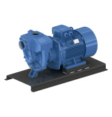 GMP Pump EAH1 22 KW 400/690 Self-suction cast iron pump