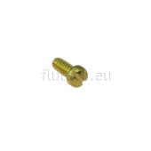 Sherwood 09919 - Screw