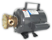 Jabsco 11810-0003 - Bronze Utility Pump 1/3 HP W/ 115 Volt AC Motor, Nitrile Impeller (oil resistant)