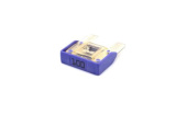 Ripca Fuse Maxi 100A Purple (10 pcs)
