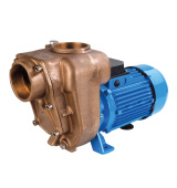 GMP Pump B3KQ-A/B 2.2 KW Bronze self-suction pump