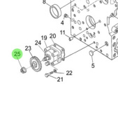 Nanni Diesel 970301916 - Fastening Nut for Engine Block and Oil Pump Assemblies