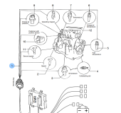 Vetus VD40138 - Engine Wiring 4 Cylinder DT44 EMR