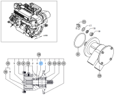 Vetus 08-01020 - Kit Seal Lip