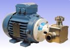 Jabsco 28520-4105E3 - 2" P370 'Pureflo' Hygienic Self-Priming Flexible Impeller Motor Pump Unit