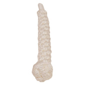 Bell Lanyard White 25 cm